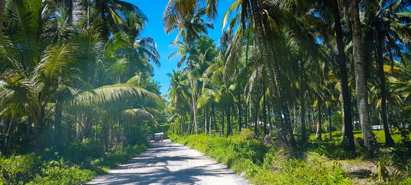EXPAT IN THE PHILIPPINES | YOGA RETREAT IN SIARGAO.